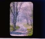 [Untitled]
