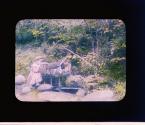 [Untitled]