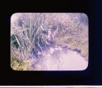 [Untitled]
