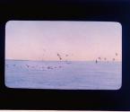 [Untitled]