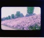 [Untitled]