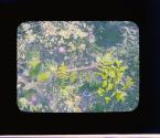 [Untitled]