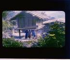 [Untitled]