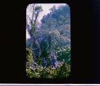 [Untitled]