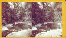 Cathedral Glen, looking East. Section No. 3