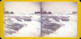 The Rapids