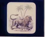 Lion.