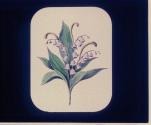 Lily of the Valley