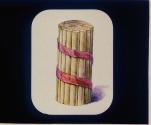 Bundle of Sticks