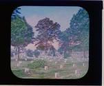 Arlington Cemetery