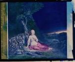 The Dreamer