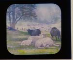 Sheep in Pasture (by Rosa Bonheur)