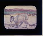 Scapegoat - Holman Hunt