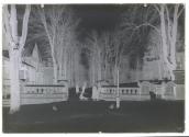 Livingston Park