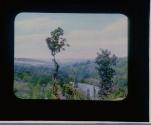 [Untitled]
