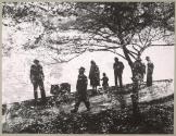 [Multiple exposure of a silhouette of a group of people and trees]