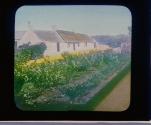 Burn's Cottage Ayr Scot.