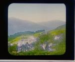 Loch Lomond, Tarbet from the Mountain. Scot.
