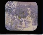[Picking fruit]