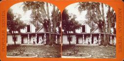Mandarin. Residence of Mrs. H.B. Stowe.