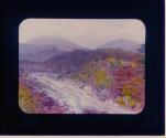 Nikko - Maple Foliage