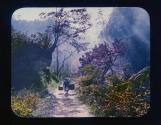The Road to Chuzenji Nikko Tamamura Slide