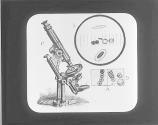 Blood Corpuscles And Microscope