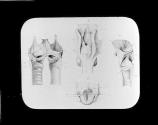 Vocal Cords, etc.