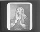 Mater Salvatoris-Angelo