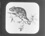 Chameleon