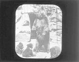 European Brown Bear & Cubs