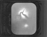 Nebulae-Trifid. 1874
