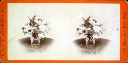 [Vase of flowers]