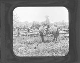 Texan Cowboy. J.V.
