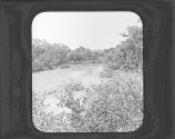 Water Hole.