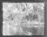 [Untitled]
