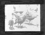 [Untitled]