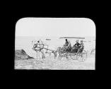 18 Mile Drive Monterey Cal SJC Carriage.