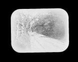 Lane Near 52nd & Chestnut St Phila Circa 1895.