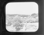 Belmont (View).