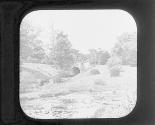 Fairmount Park Phila.