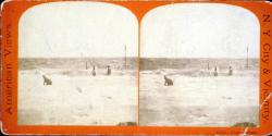 Coney Island.