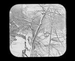 Winter Scene Entrance to the Wissahickon Phila.