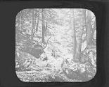 Devil's Pool Wissahickon.