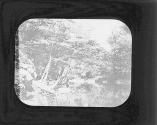 Wissahickon.