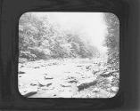 Wissahickon.