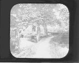 On Darby Creek Phila.