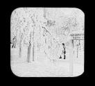 Niagara Falls Winter (Illeg.).