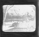 Fly Fishing for Trout. Copy-S.F.C. 1884.