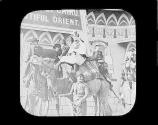 Buffalo. Streets of Cairo.